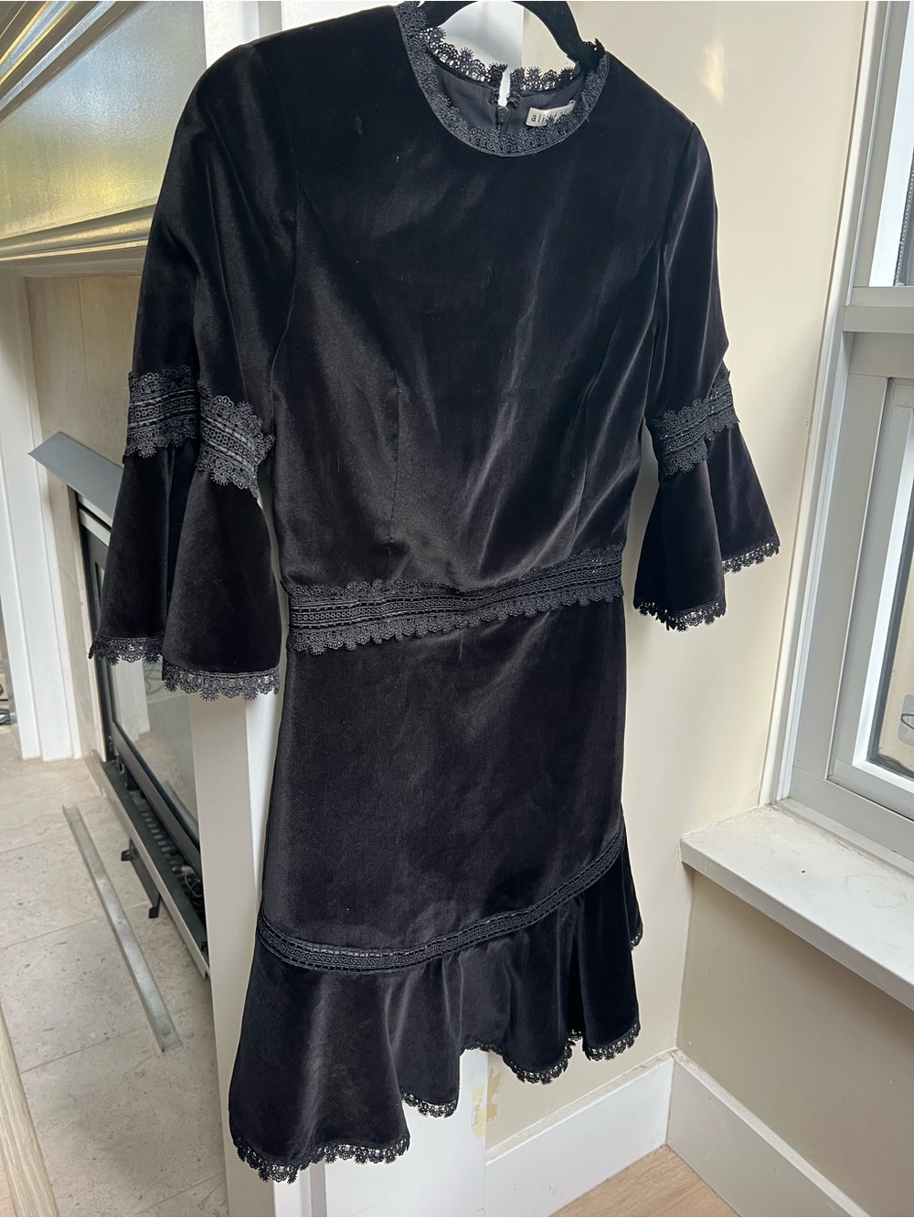 Alice + Olivia Velvet Dress - Picture 4 of 9